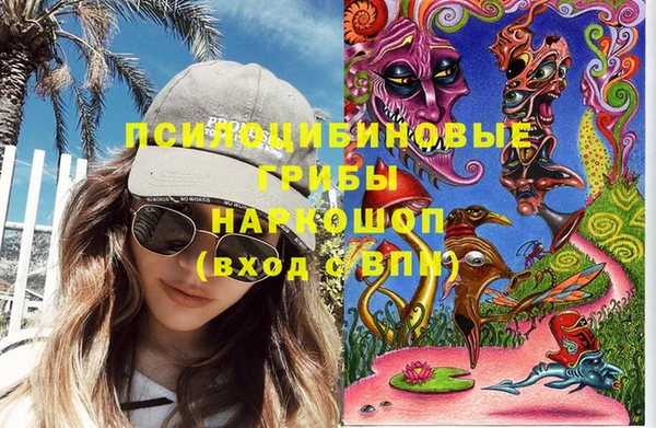 ешки Аркадак