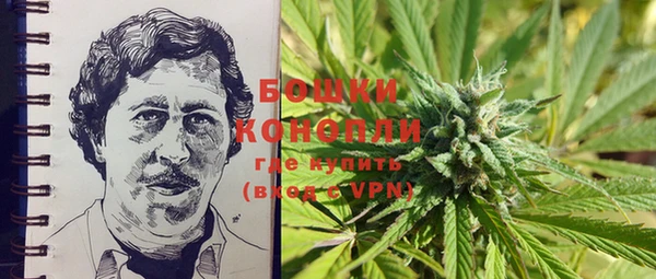 ешки Аркадак