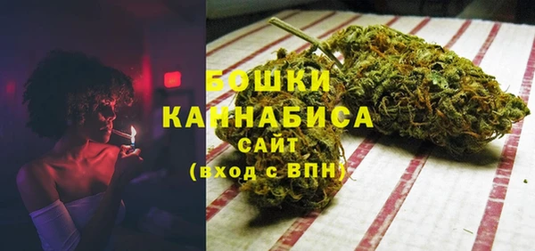 ешки Аркадак