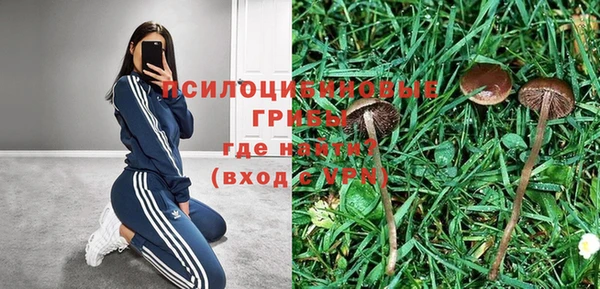 таблы Арсеньев