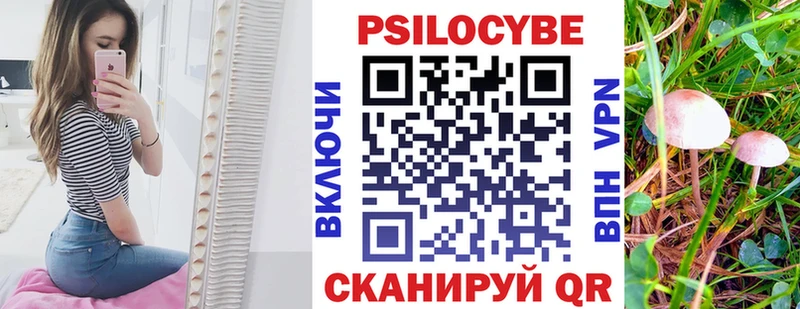 блэк спрут как войти  Саки  Псилоцибиновые грибы мухоморы 