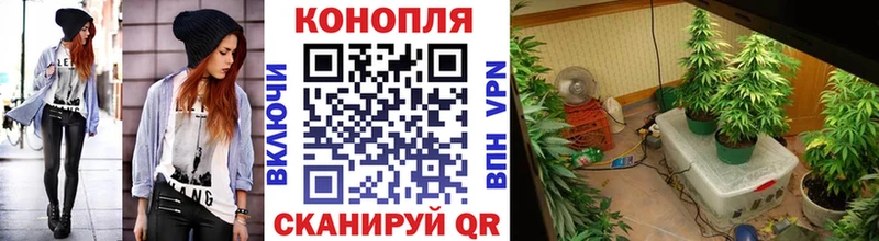 Канабис Bruce Banner  нарко площадка официальный сайт  Саки 